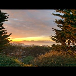 Meet your Posher, Daisy